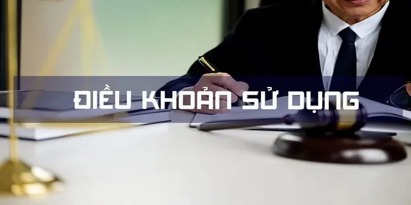 Tổng quát về mục đích của điều khoản sử dụng NOHU